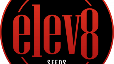 Photo of Elev8 Seeds, guaranteed authentic US genetics- Alchimia Grow Shop