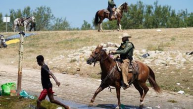 Photo of Border Patrol Support Grows, Republicans Laud Horses, Whips vs Migrants