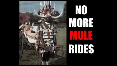 Photo of Tariq Nasheed: No More Mule Rides