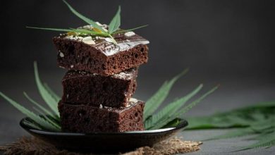 Photo of How to make cannabis brownies- Alchimia Grow Shop