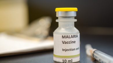 Photo of WHO Approves First Malaria Vaccine