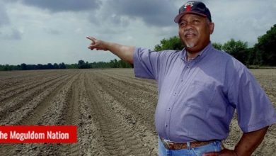 Photo of $250B-$350B? 10 Facts About Wealth Theft Against Black US Farmers