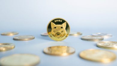 Photo of The Bubble Pumps Of Shiba And Doge Meme Coins Could Have Psychological Bias