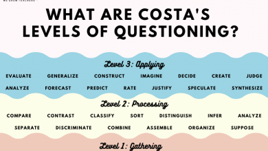 Photo of What Are Costa’s Levels Of Questioning?