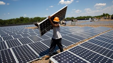 Photo of Will A Solar Farm Harm The Black Community In Archer, Florida? Residents & Experts Weigh In