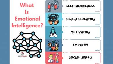 Photo of What Is Emotional Intelligence?