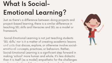 Photo of What Is Social-Emotional Learning? –