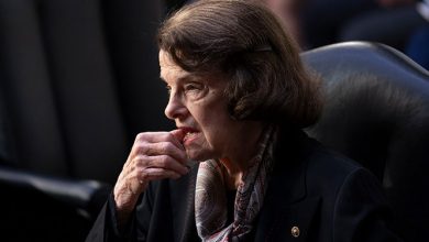 Photo of Dianne Feinstein Colleagues Worry She Is Mentally Unfit To Serve