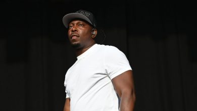 Photo of Dizzee Rascal Addresses Assault Conviction In New Freestyle