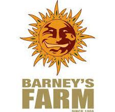 Photo of The history of Barney’s Farm- Alchimia Grow Shop
