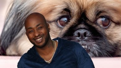 Photo of ‘Black Ink Crew’ Boss Ceaser Thinks Leaked Dog Abuse Video Was Setup
