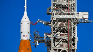 Photo of NASA’s Artemis I launch has officially been delayed until November
