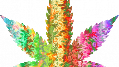 Photo of Cannabis in the seventies, a decade of change- Alchimia Grow Shop