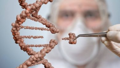 Photo of Is CRISPR gene editing the future of cannabis?- Alchimia Grow Shop