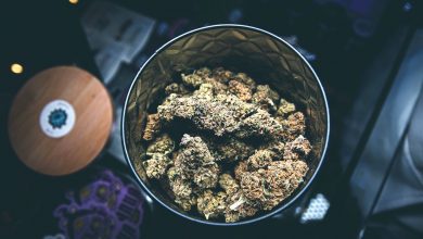 Photo of Curing cannabis- Alchimia Grow Shop