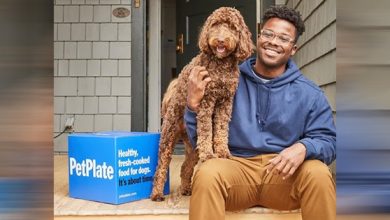 Photo of 35-Year-Old Entrepreneur, Founder of the Only Black-Owned Dog Food Brand With National Distribution