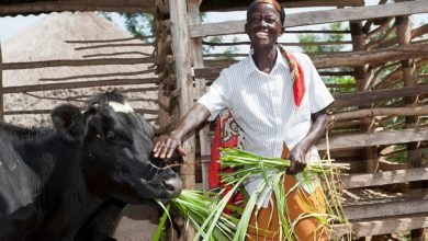 Photo of Youth African Agritech Innovators Receive $1.5M Investment To Accelerate Agriculture Across Africa