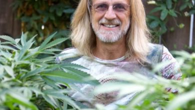 Photo of Interview with Jorge Cervantes, cannabis legend- Alchimia Grow Shop