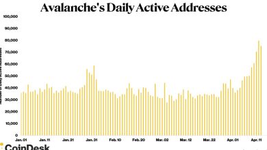 Photo of Avalanche Surges to 6-Month High in Daily Active Addresses