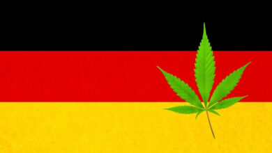 Photo of Cannabis in Germany- Alchimia Grow Shop