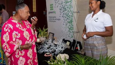 Photo of CanEx Cannabis & Psychedelics Conference + Wellness Expo. Montego Bay, Jamaica, Oct 20-22- A Firstimer’s review. – Ganjactivist.com