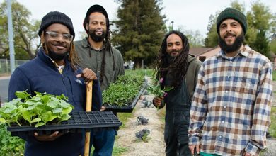Photo of Group of Black Farmers Secure $1.25M in Funding to Acquire Land in California