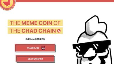 Photo of Crypto’s Wild Meme coin World Sees Trader Make $2M From $450 on COQ Token