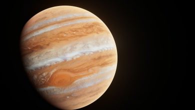 Photo of SOL DEX Jupiter’s JUP Token to Debut With 1.35B Circulating Supply