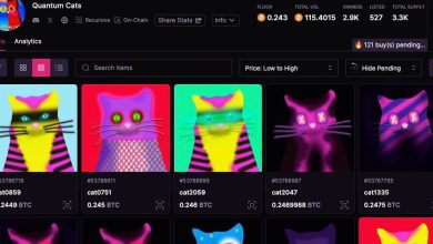 Photo of Bitcoin NFTs ‘Quantum Cats’ Fetching 0.24 BTC ($10K+) on Magic Eden Marketplace