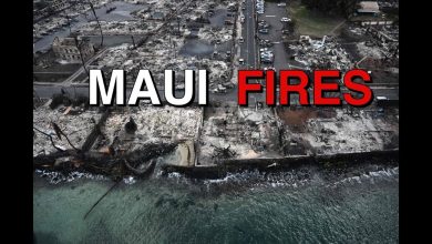 Photo of Tariq Nasheed: Whats Up With The Maui Fires?