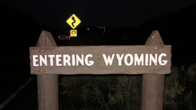 Photo of Wyoming Grants DAOs New Legal Structure
