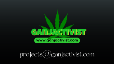 Photo of Drug Arrests Continue As Policy Continues to Fail Humanity – Ganjactivist.com