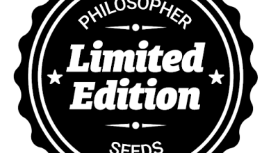 Photo of Philosopher Seeds new strains (2024)- Alchimia Grow Shop