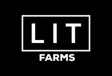 Photo of Lit Farms, the best combination of American genetics- Alchimia Grow Shop