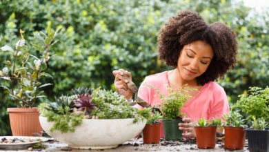 Photo of 15 Tips For Gardening Without Triggering Your Asthma