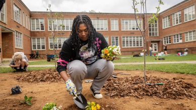 Photo of Gardening For Relieving Stress In College – BlackDoctor.org
