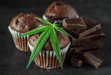 Photo of Cannabis Cupcakes- Alchimia Grow Shop