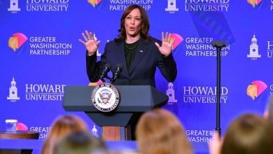 Photo of Can VP Kamala Harris Win The Presidential Race?