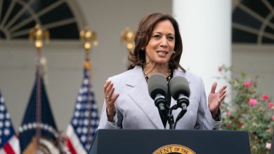 Photo of How “DEI” Is The New “N-Word” In Attacks On Kamala Harris