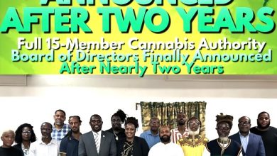 Photo of St. Kitts and Nevis Hold Inaugural Cannabis BOard Meeting. – Ganjactivist.com