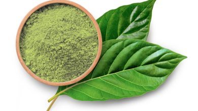 Photo of What is Kratom and what are its effects?- Alchimia Grow Shop