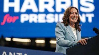 Photo of Kamala Harris, Racist Birther Attacks And Presidential Eligibility