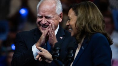 Photo of Do VP Kamala Harris And Tim Walz Have What It Takes?