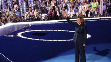 Photo of Kamala Harris DNC Speech Takeaways Amid Historic Nomination