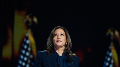 Photo of Beyoncé DNC Speculation Soared As Kamala Harris Shined