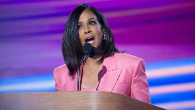 Photo of 5 Favorite Moments From DNC Starting With Maya Harris