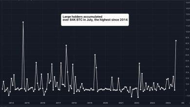 Photo of Large Bitcoin (BTC) Holders Added $5.4B in BTC in July, Data Show