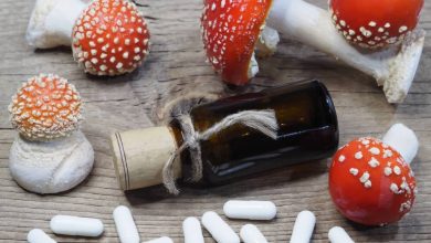 Photo of How to make magic mushroom tinctures- Alchimia Grow Shop