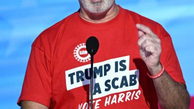 Photo of Labor Unions Playing Key Role In Harris vs Trump