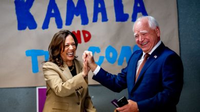 Photo of Kamala Harris Taunts, Insults Take Page From Trump’s Playbook